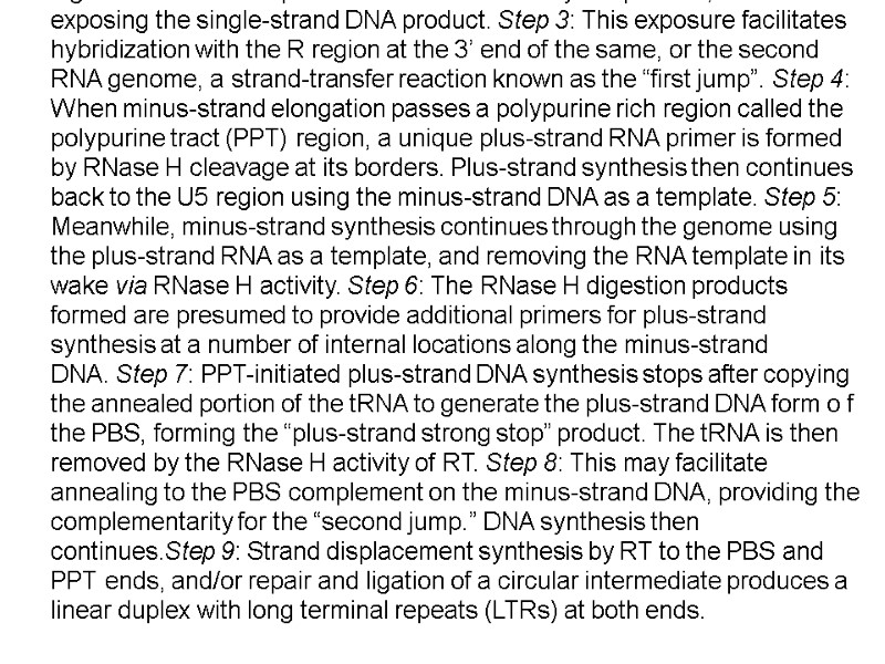 Step 1: Synthesis proceeds to the 5’ end of the RNA genome through the